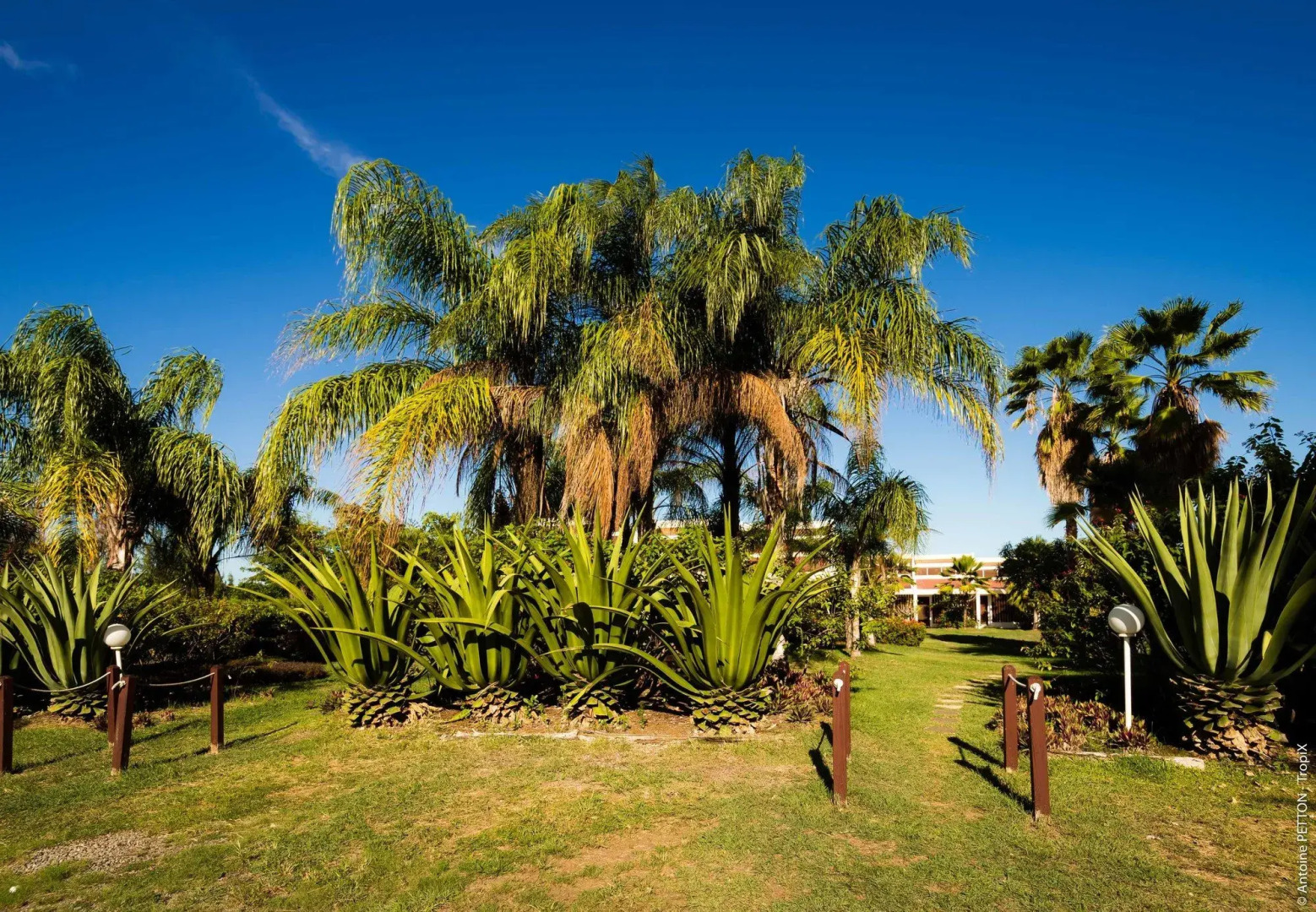 Les Bungalows de la Prairie