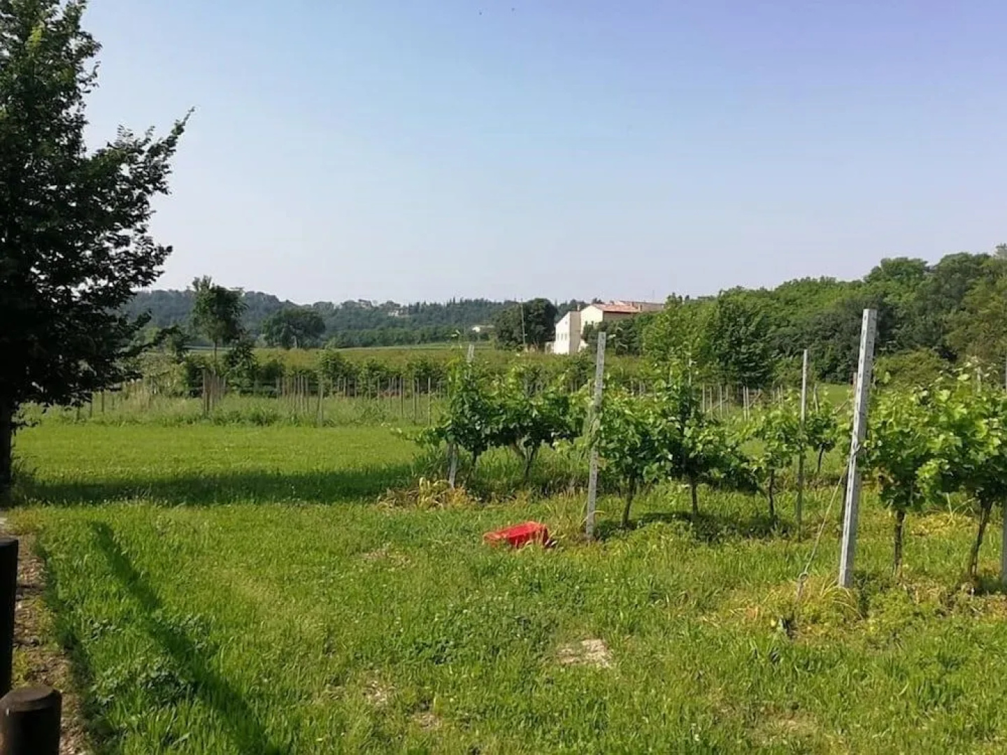 Agriturismo Cascina Roveri