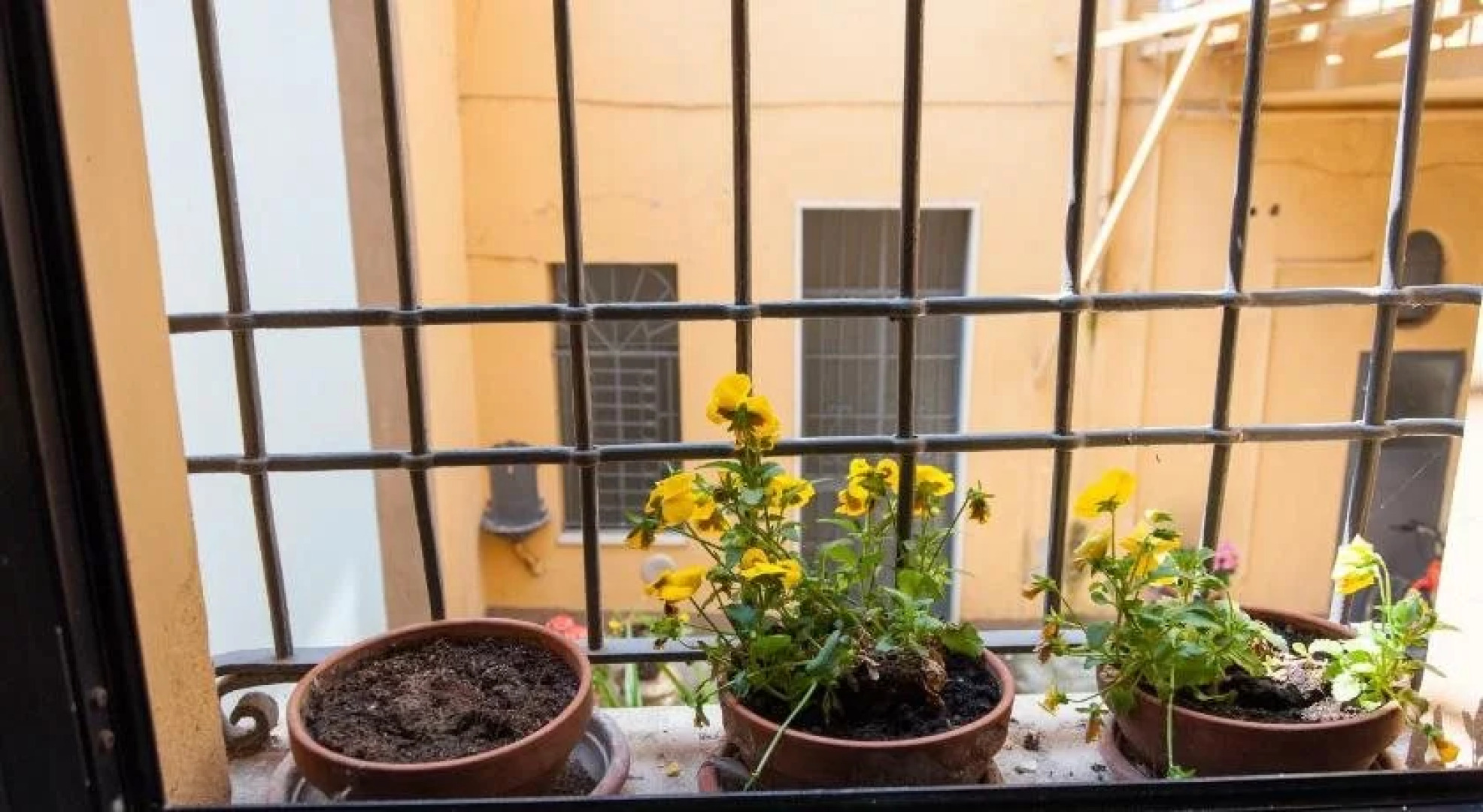 Affittacamere Daniela