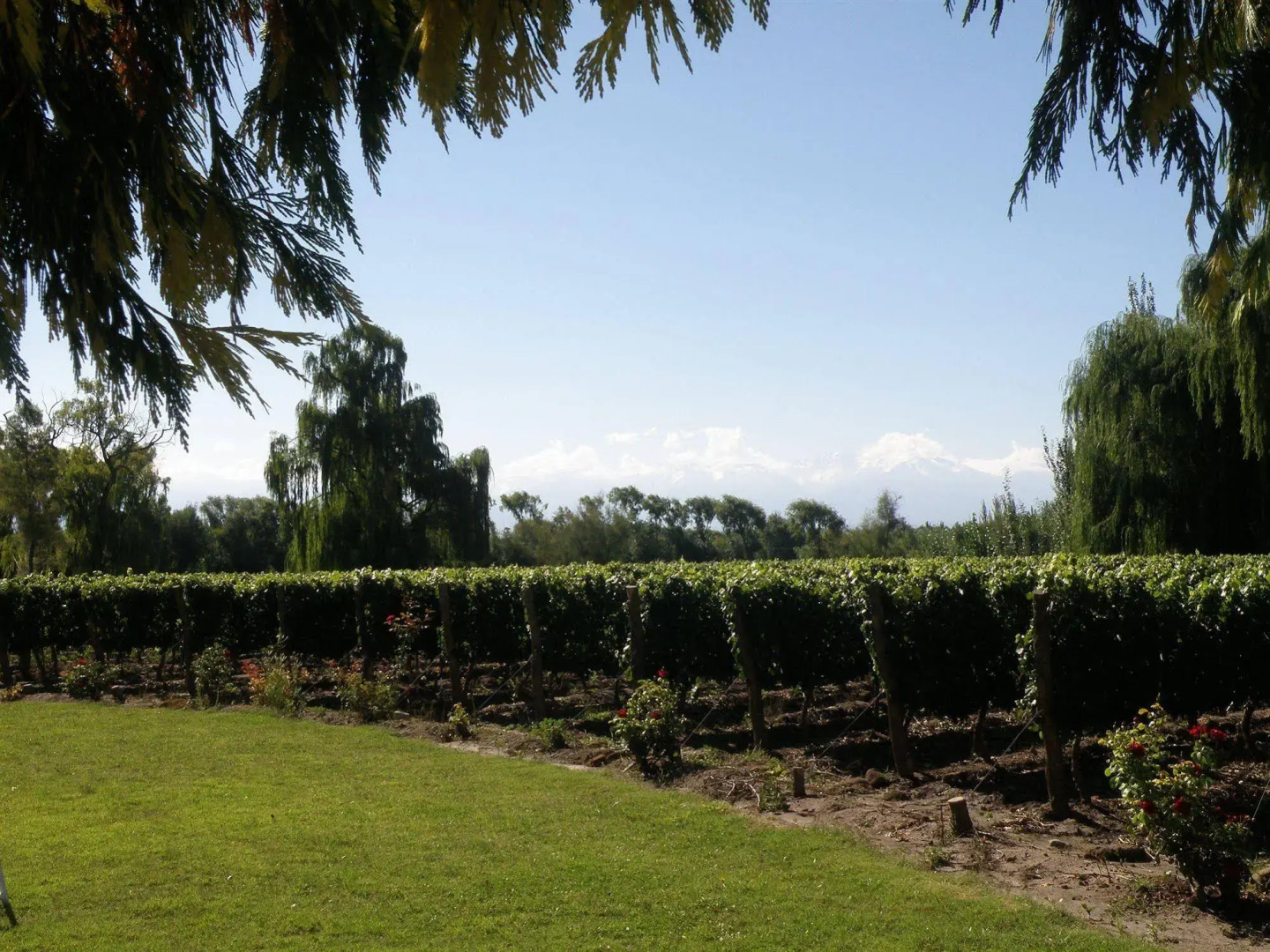 Postales Hotel Boutique Valle De Uco