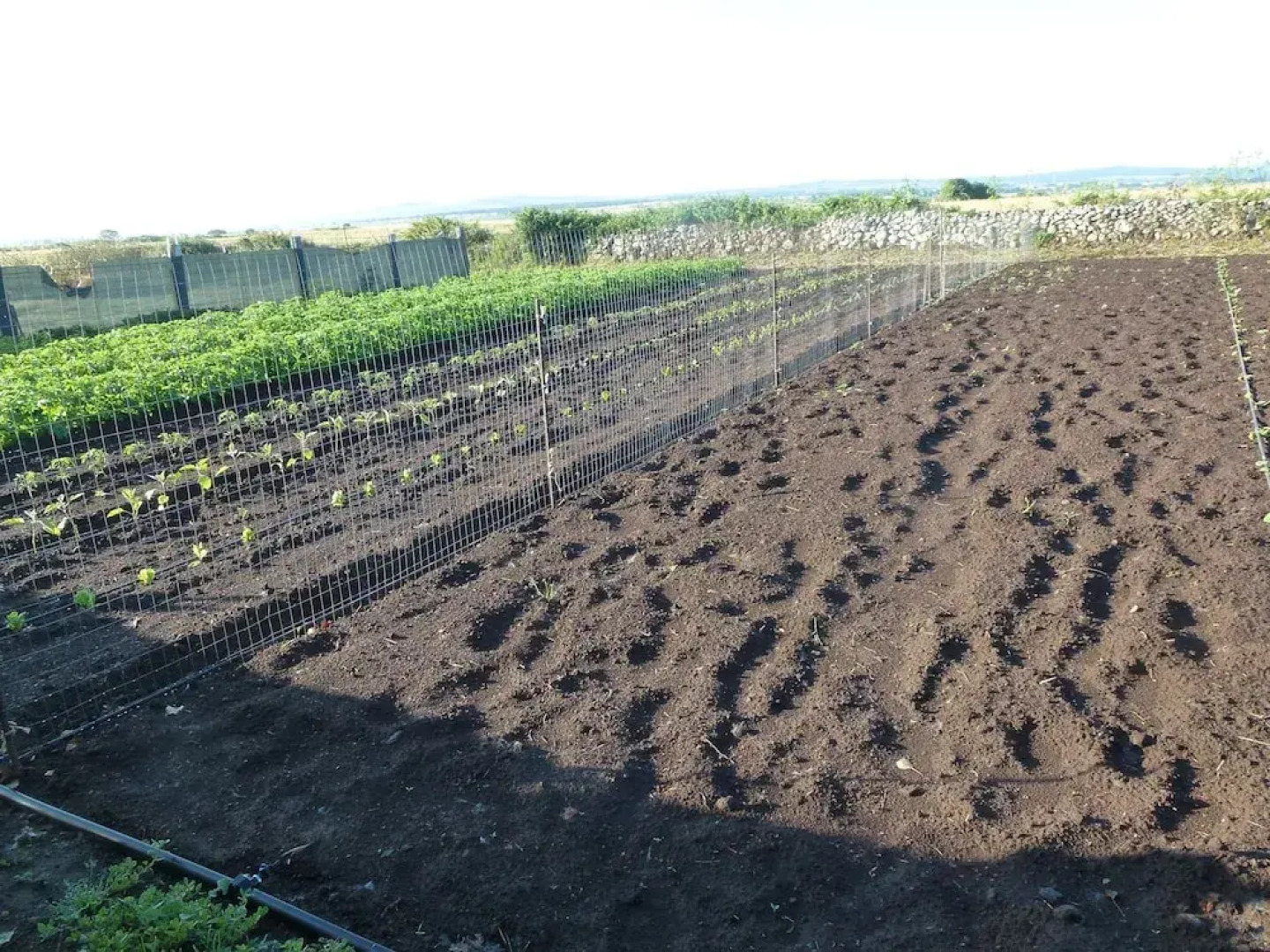 Agriturismo Nuragh'Elighe