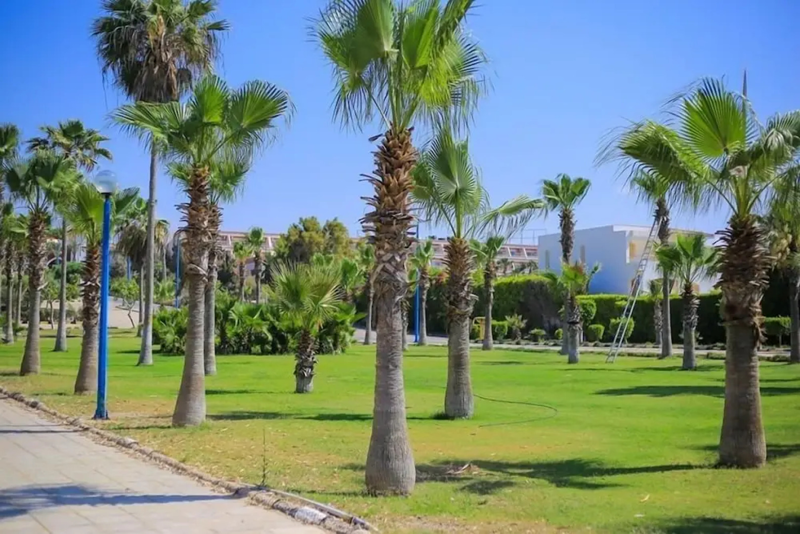 Plan B El Montazah Hotel