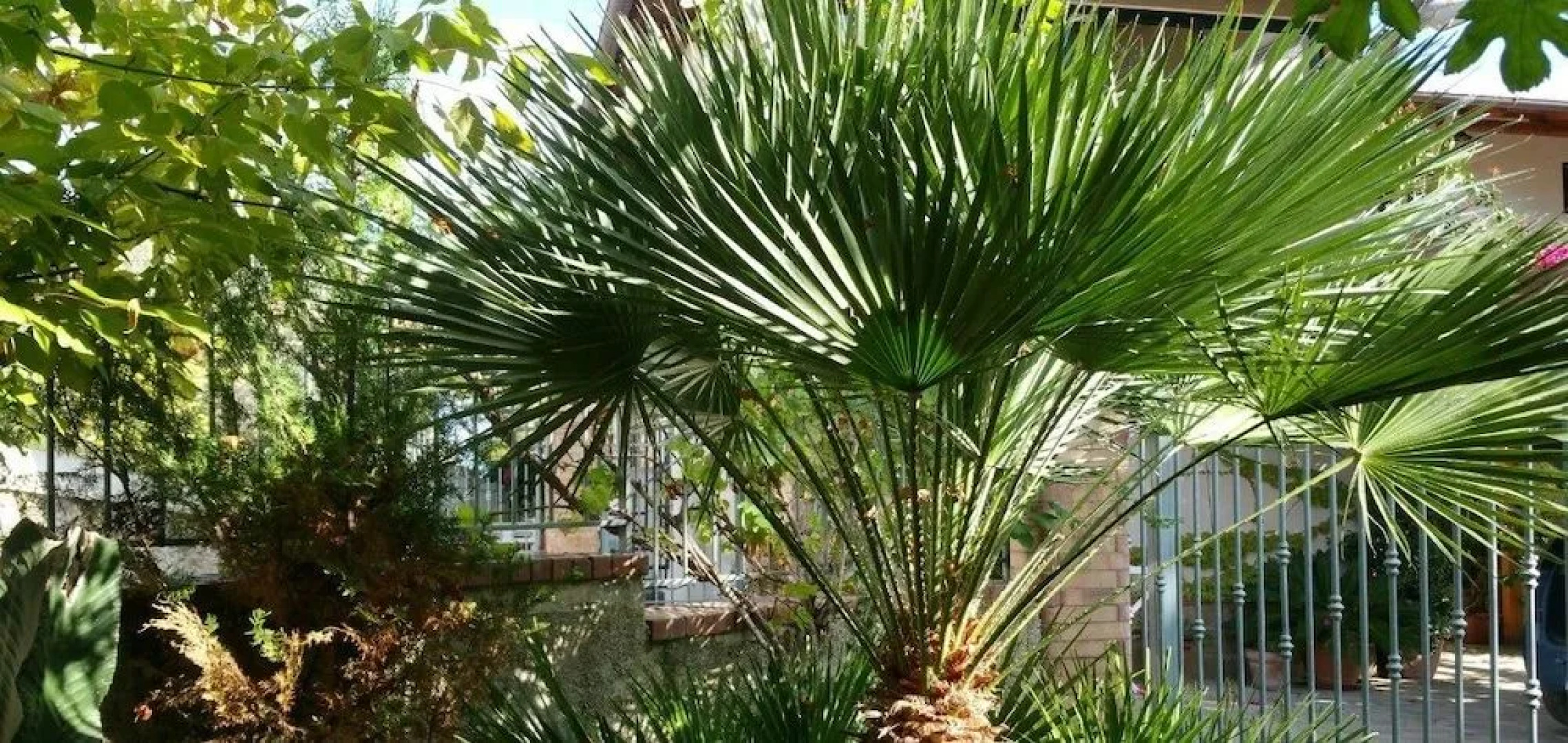 La Capannina Cilento