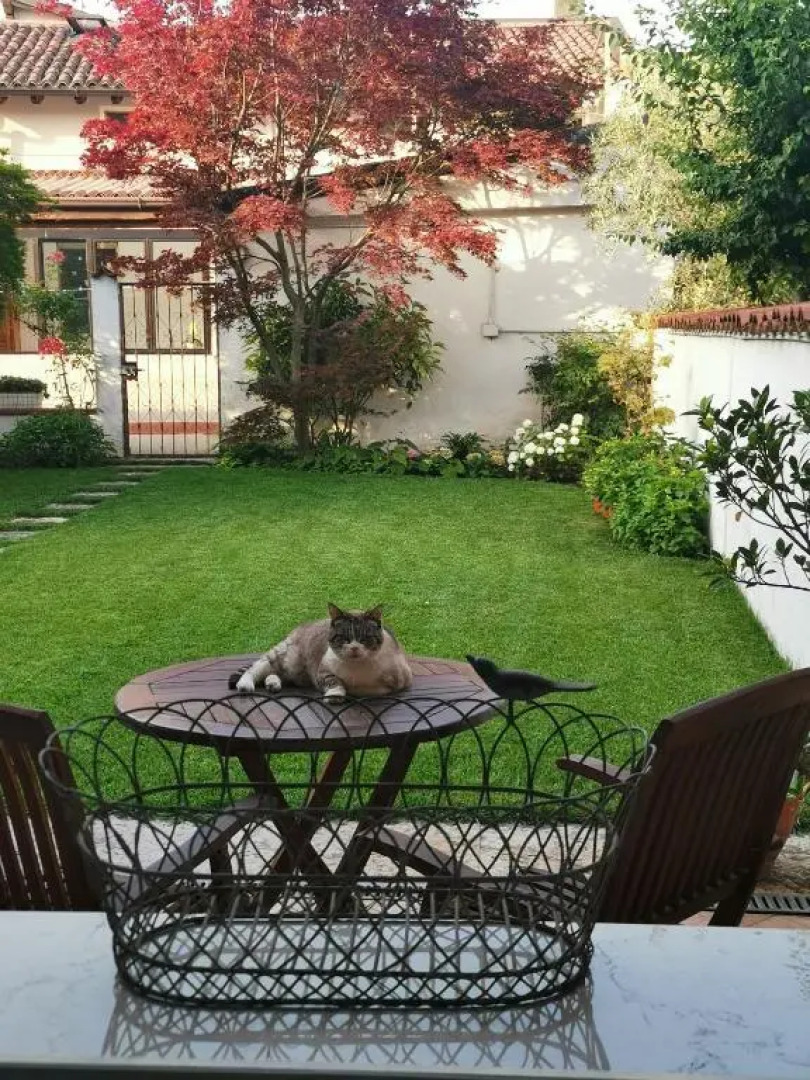 Il Colibrì Bed&Breakfast