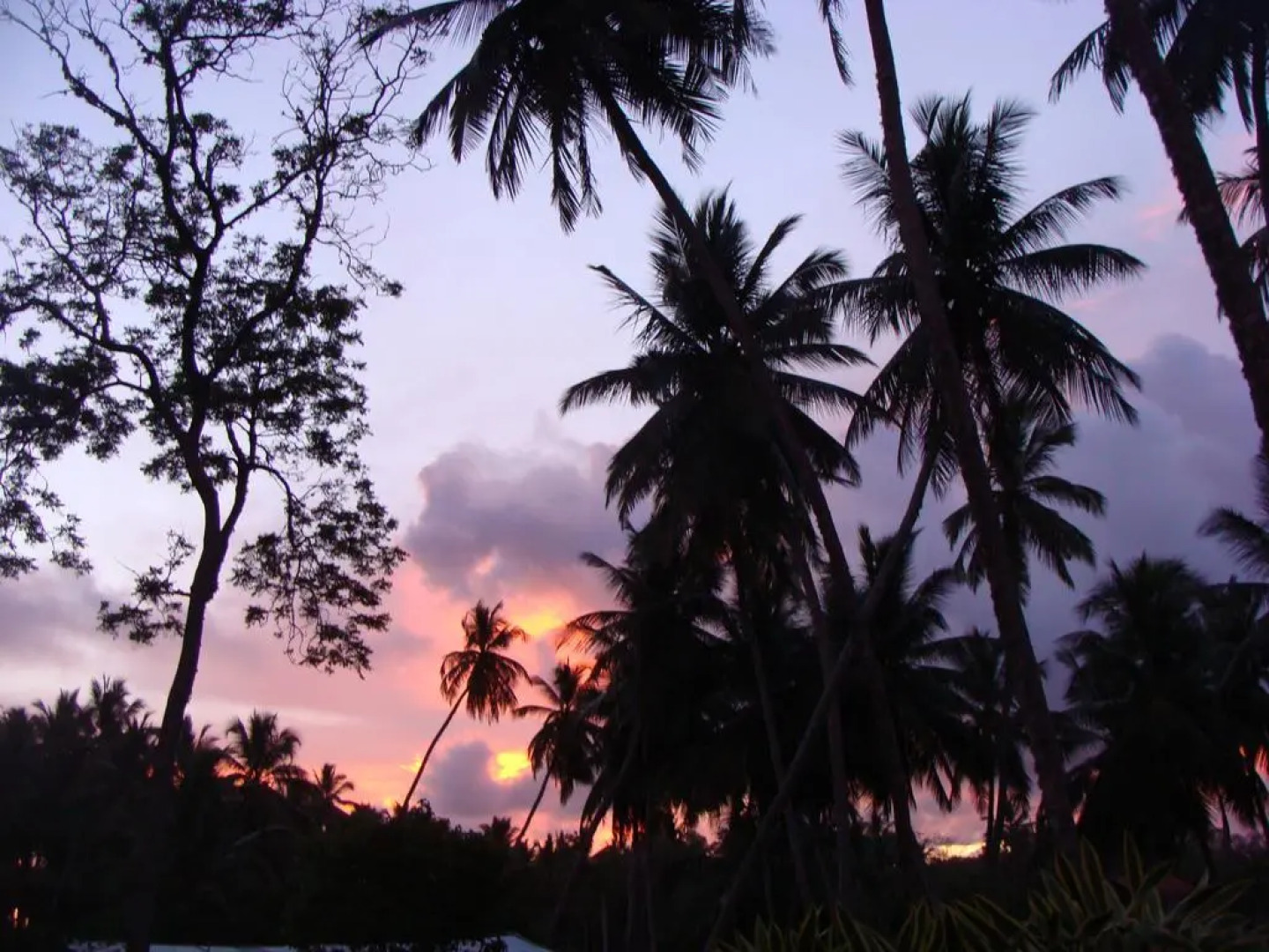 Sanjis The Seaside Cabanas