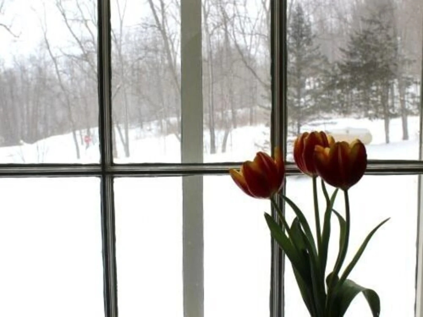 Country Comforts Bed and Breakfast