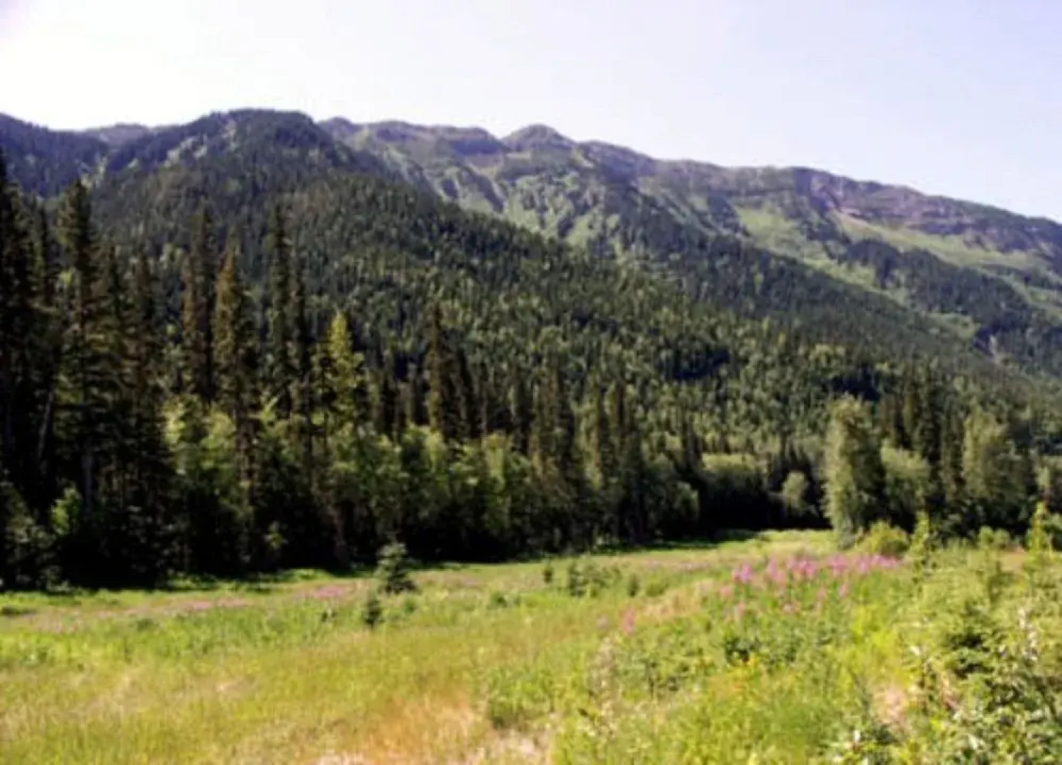 Best Western Dawson Creek Inn