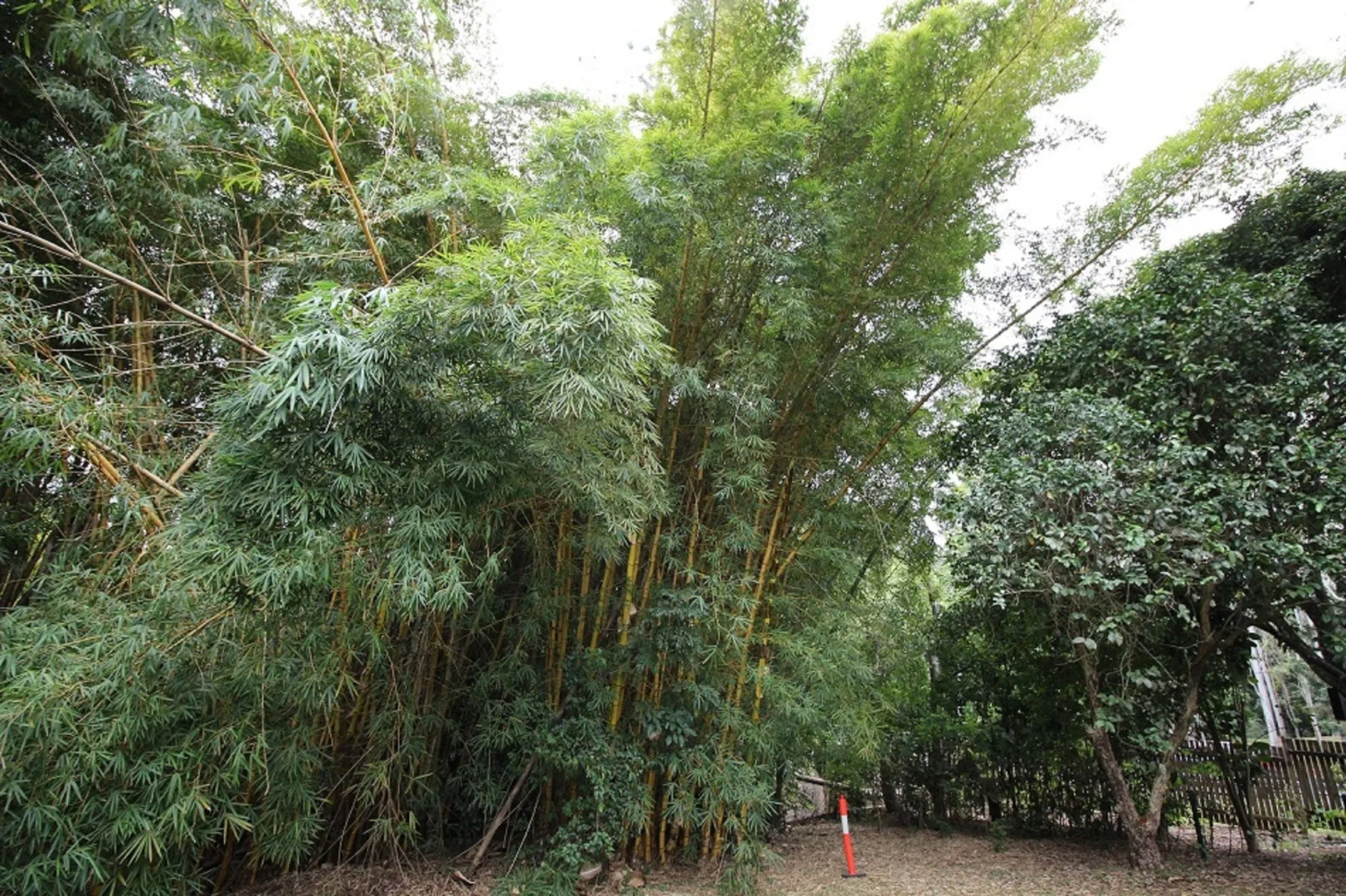 Atherton Hinterland Motel