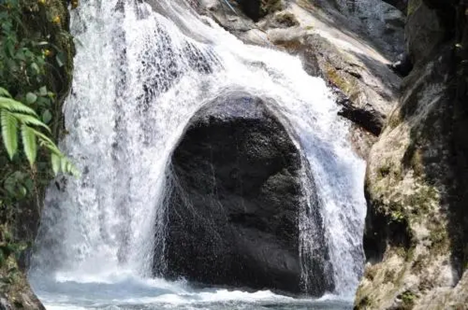 Acuario De Mindo