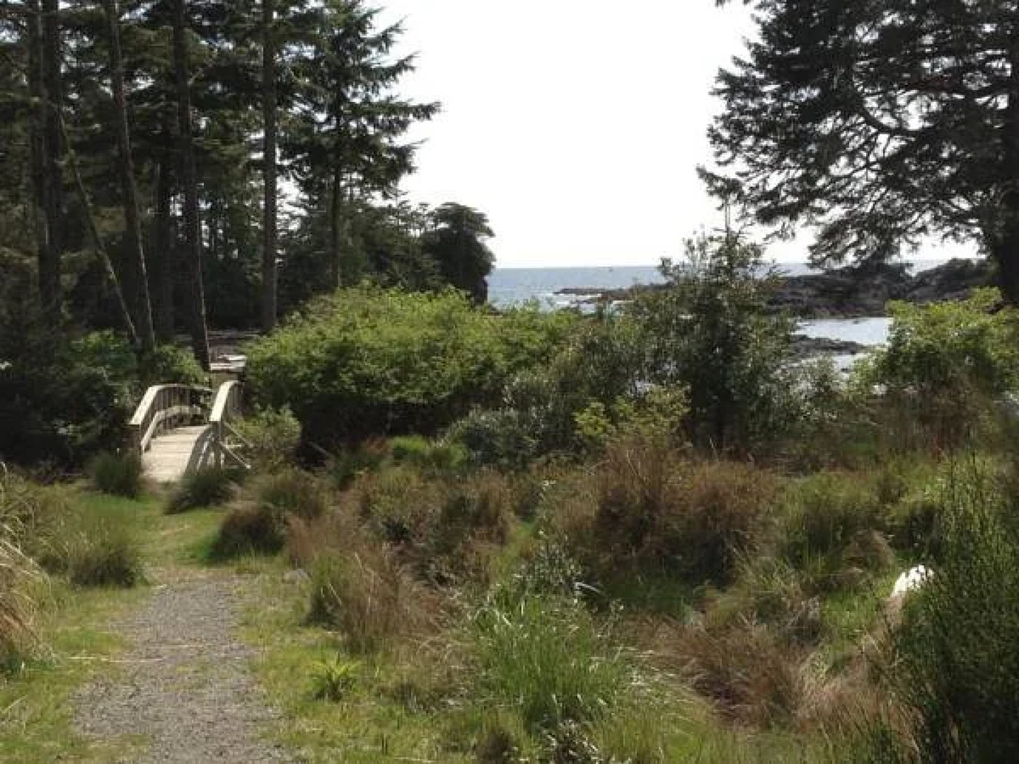 Wild Shores Guest House