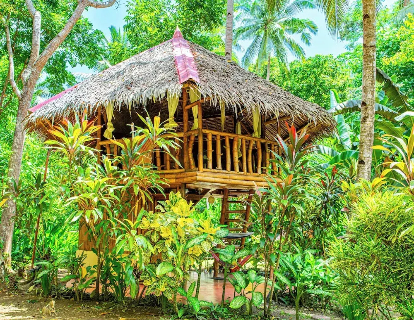 Water To Forest Ecolodge