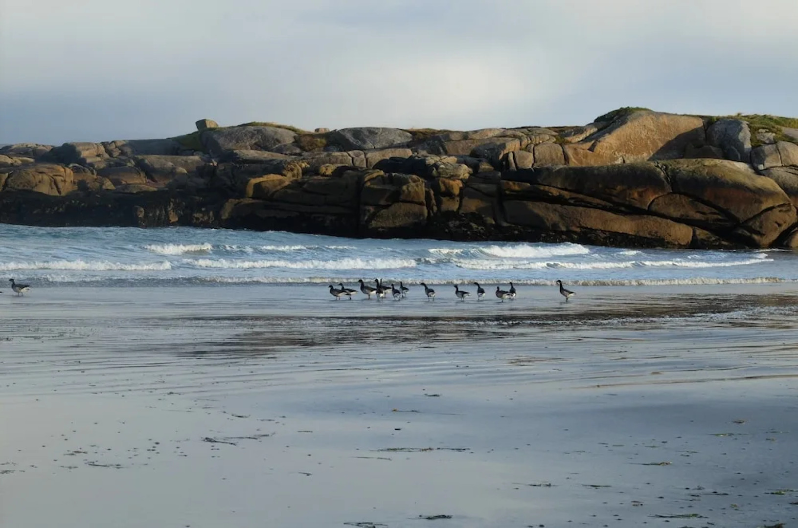 Willow Cottage Donegal B&B