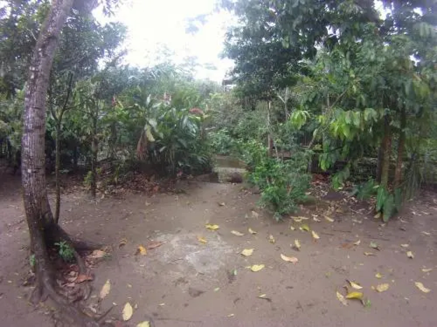 Ecoparque Agua Selva