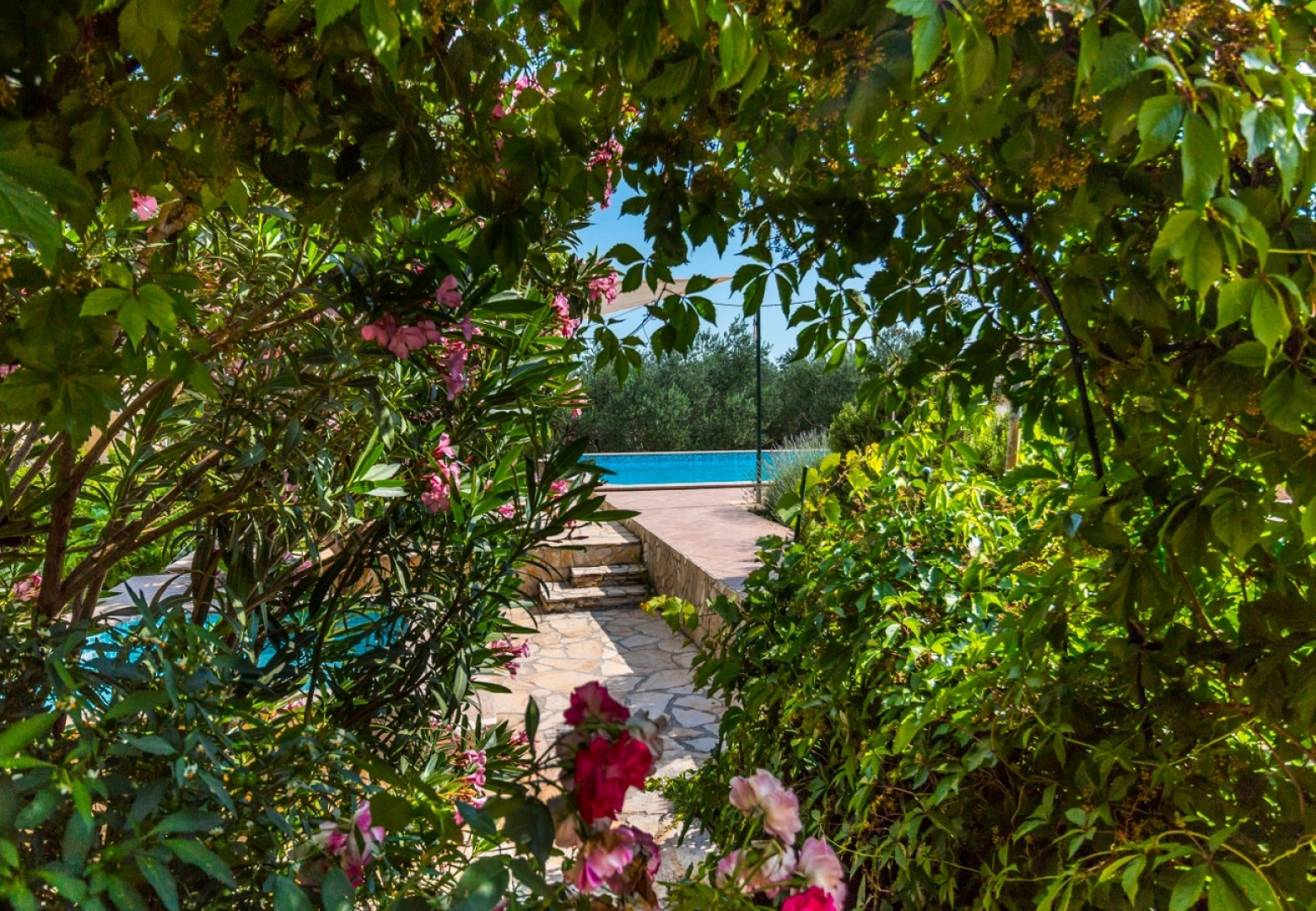 Holiday house Mare - open pool and pool for children: Kastel Novi, Riviera Split