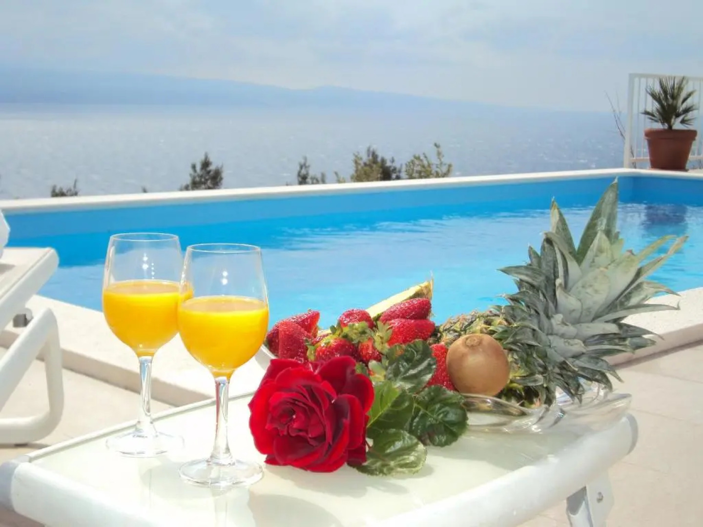 Guest House Vineyard oaza