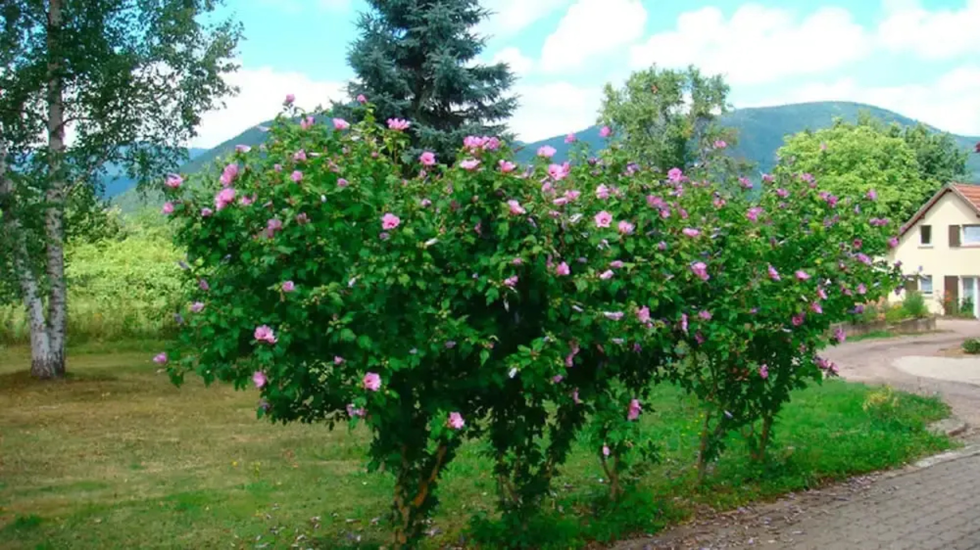 Property with 2 Bedrooms in Niederhaslach, with Furnished Garden And Wifi - 35 Km From the Slopes