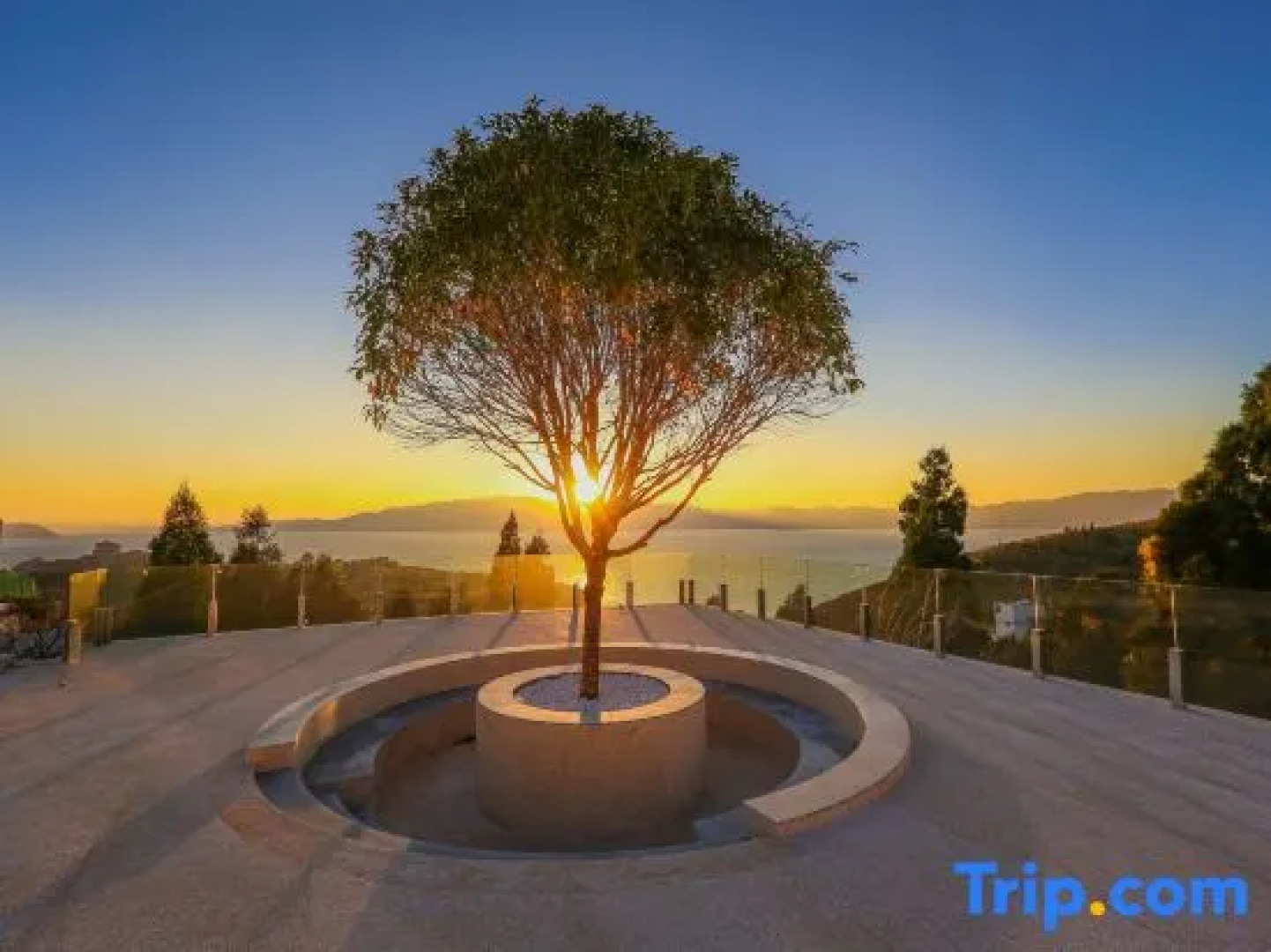 Rousseau homestay in Fuxian Lake