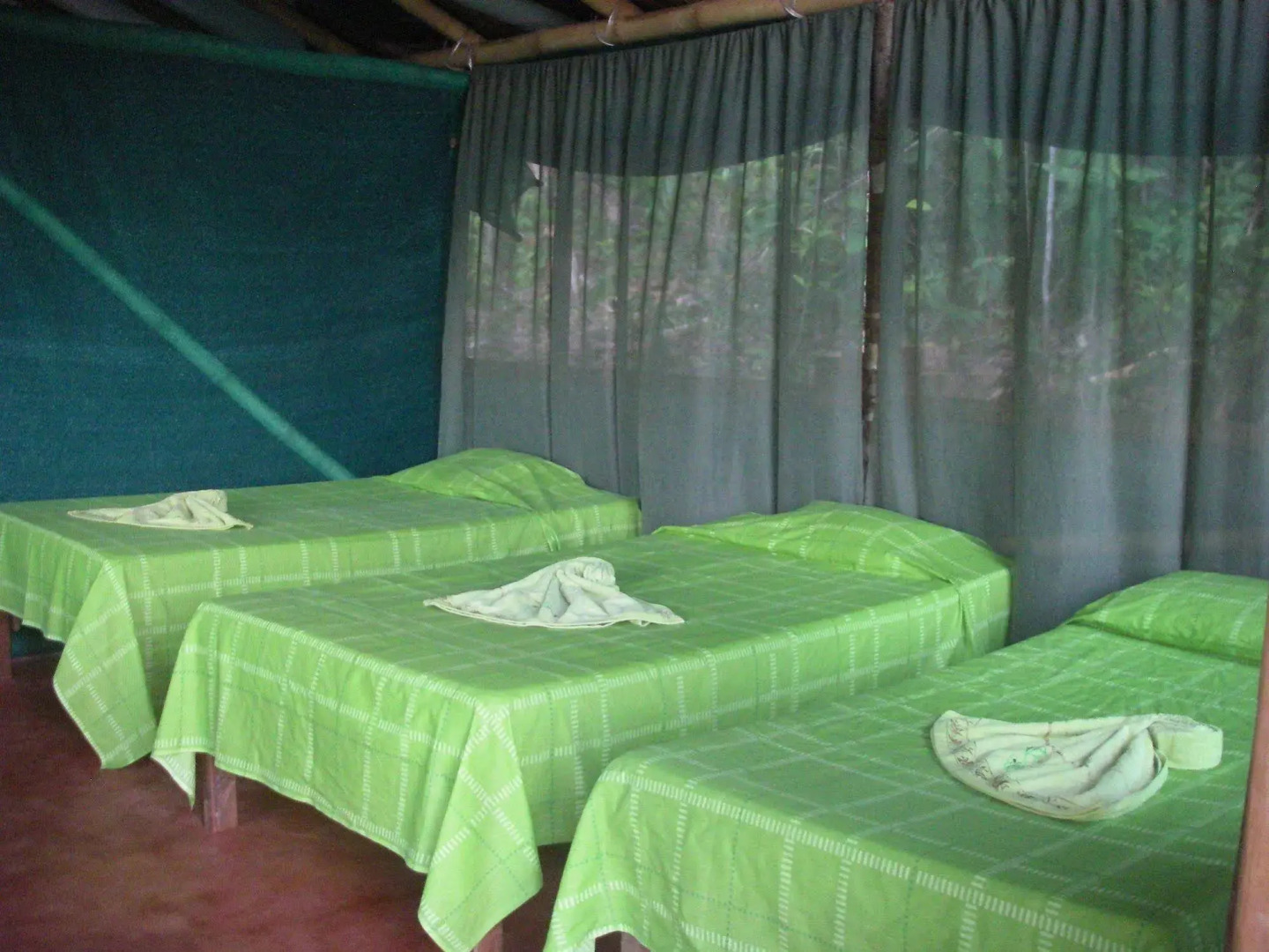 Isla Violin Eco Lodge