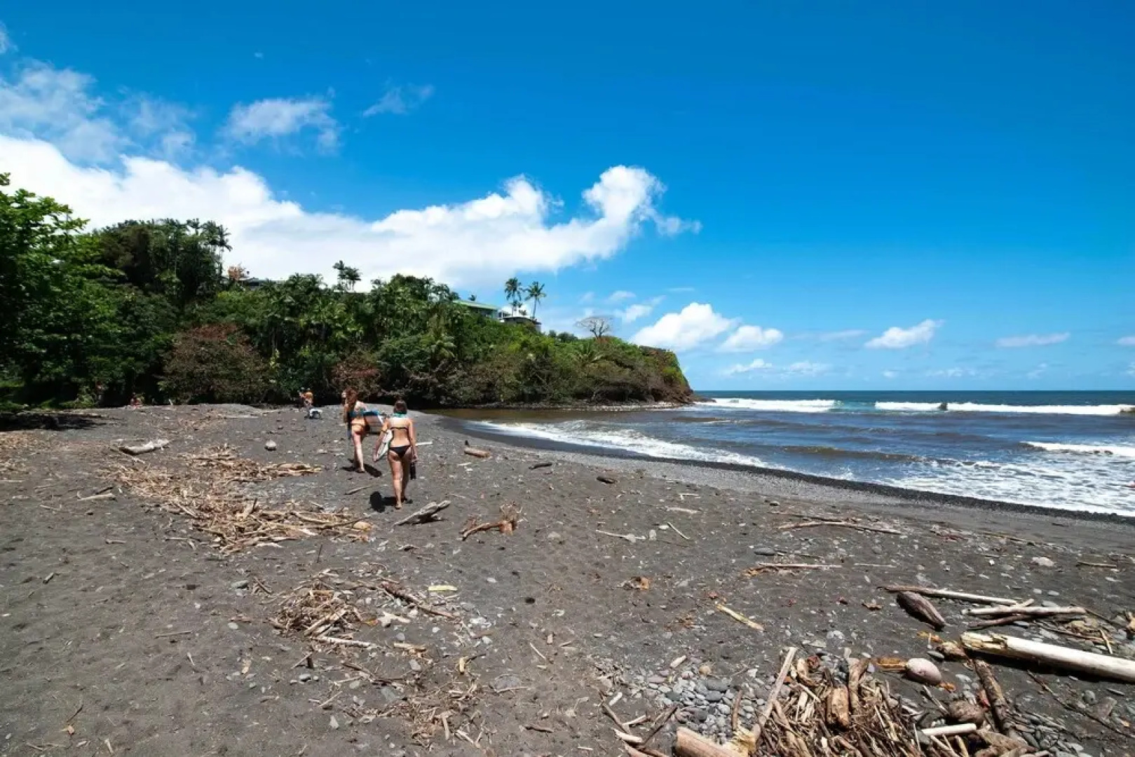 Hilo Apartment: Ocean Views on the Hamakua Coast!