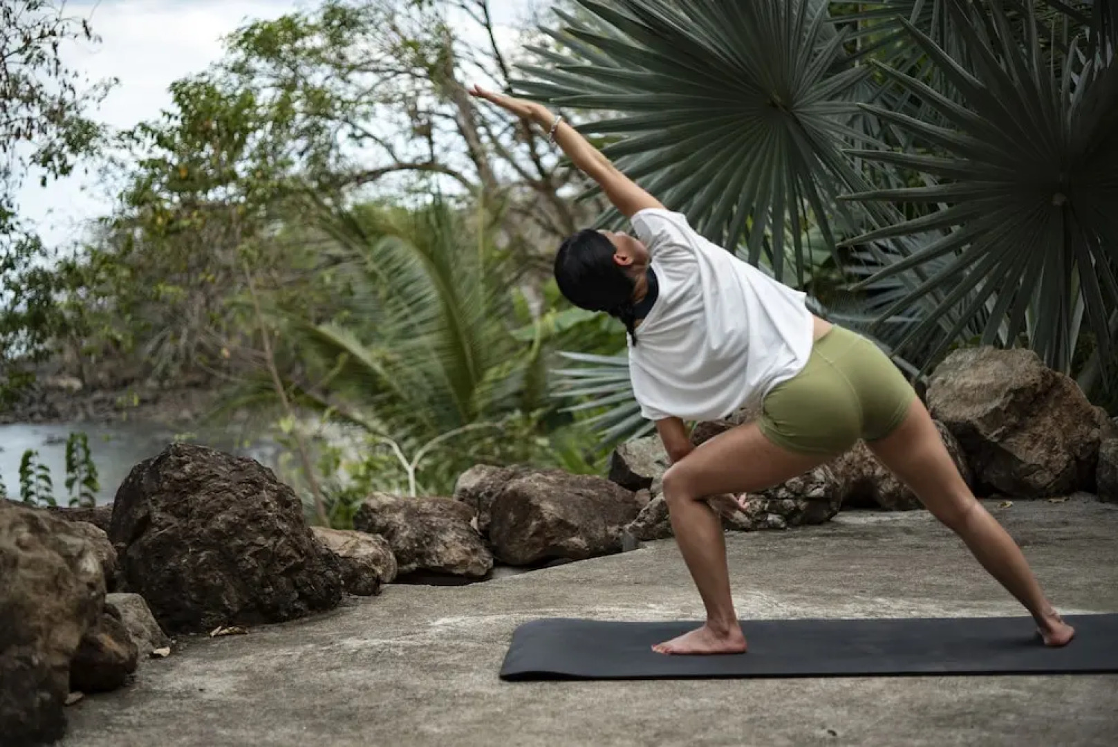 Isla Palenque Member of the Cayuga Collection