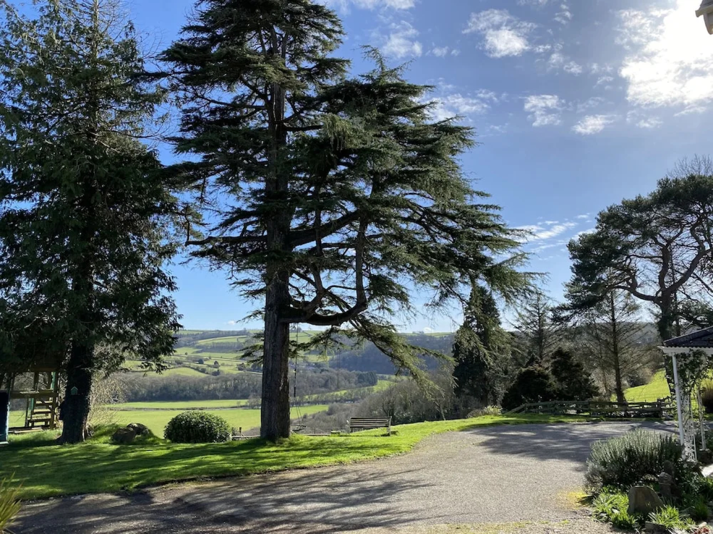 Little Silver Nugget