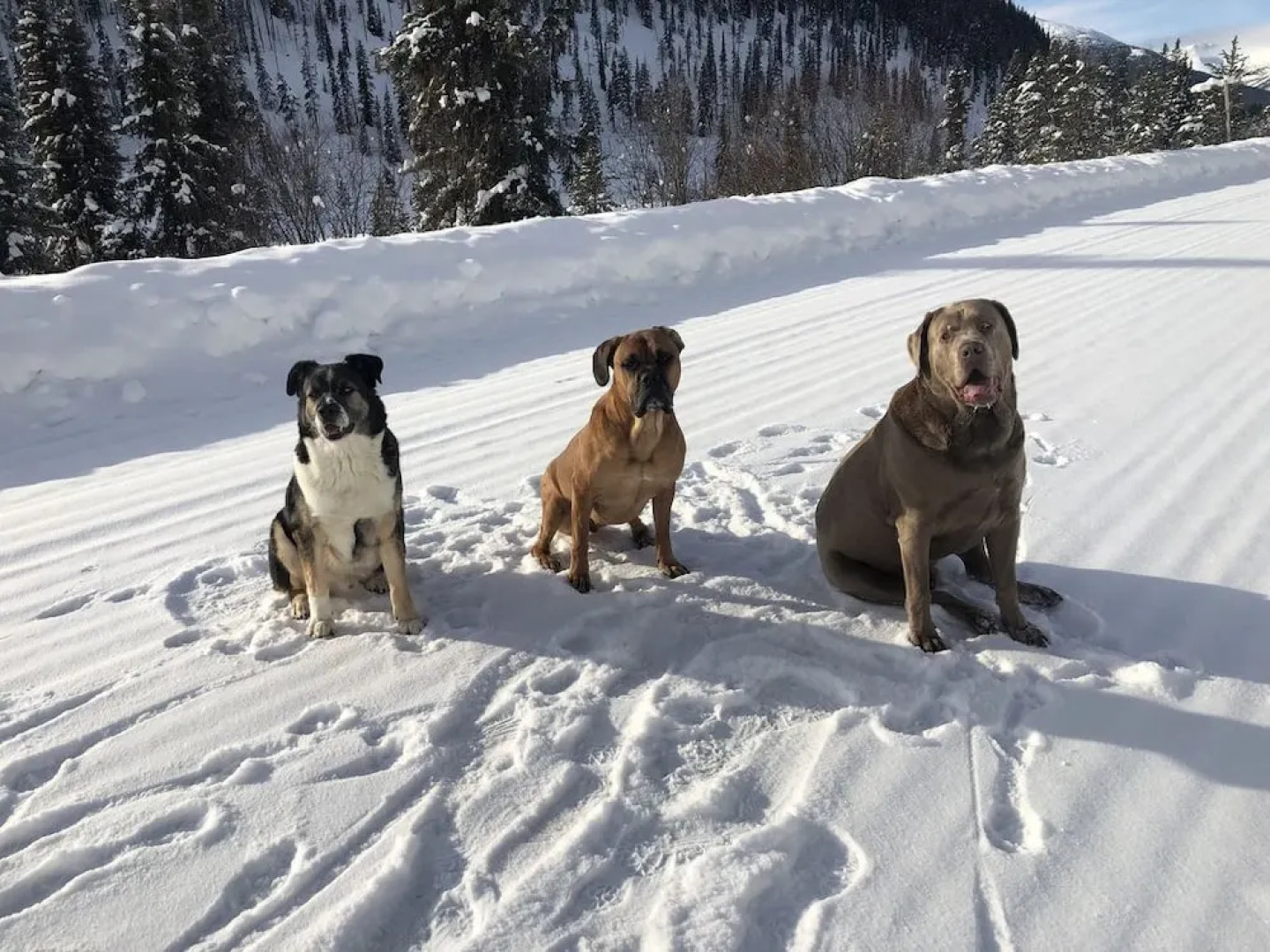 Rustic Luxury off Grid Wilderness Cabin