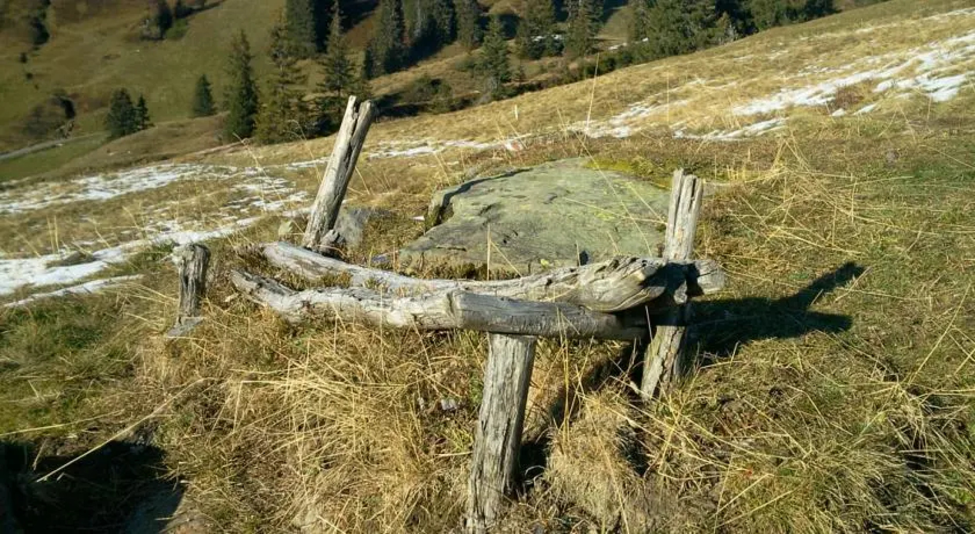 SunAlpin - Ferienwohnungen