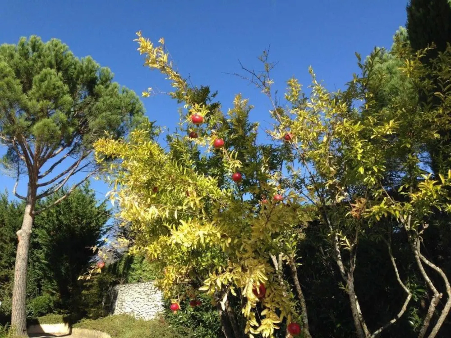 Les Flachères - Villa Patio