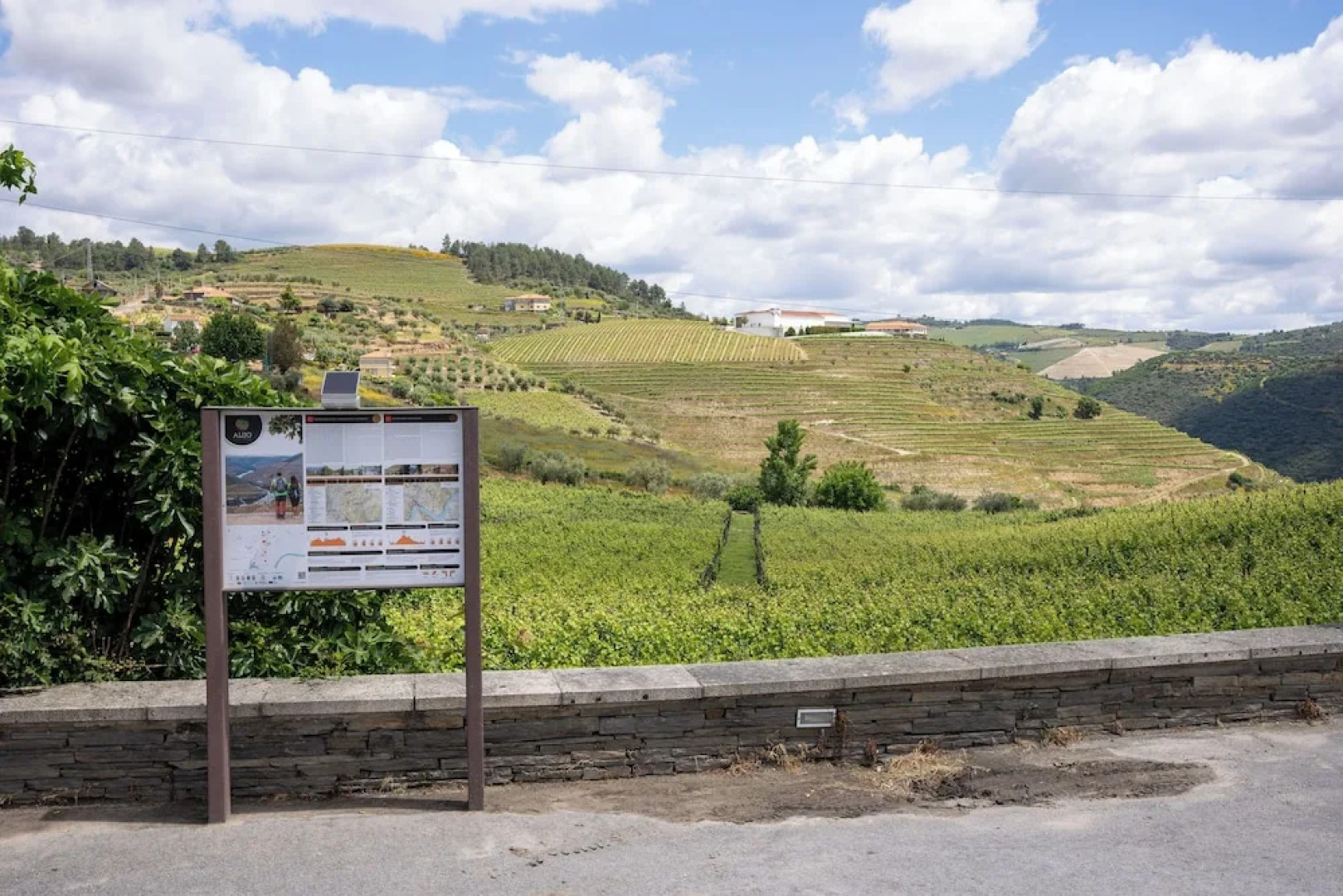 Casa Dona Edite Guesthouse Douro