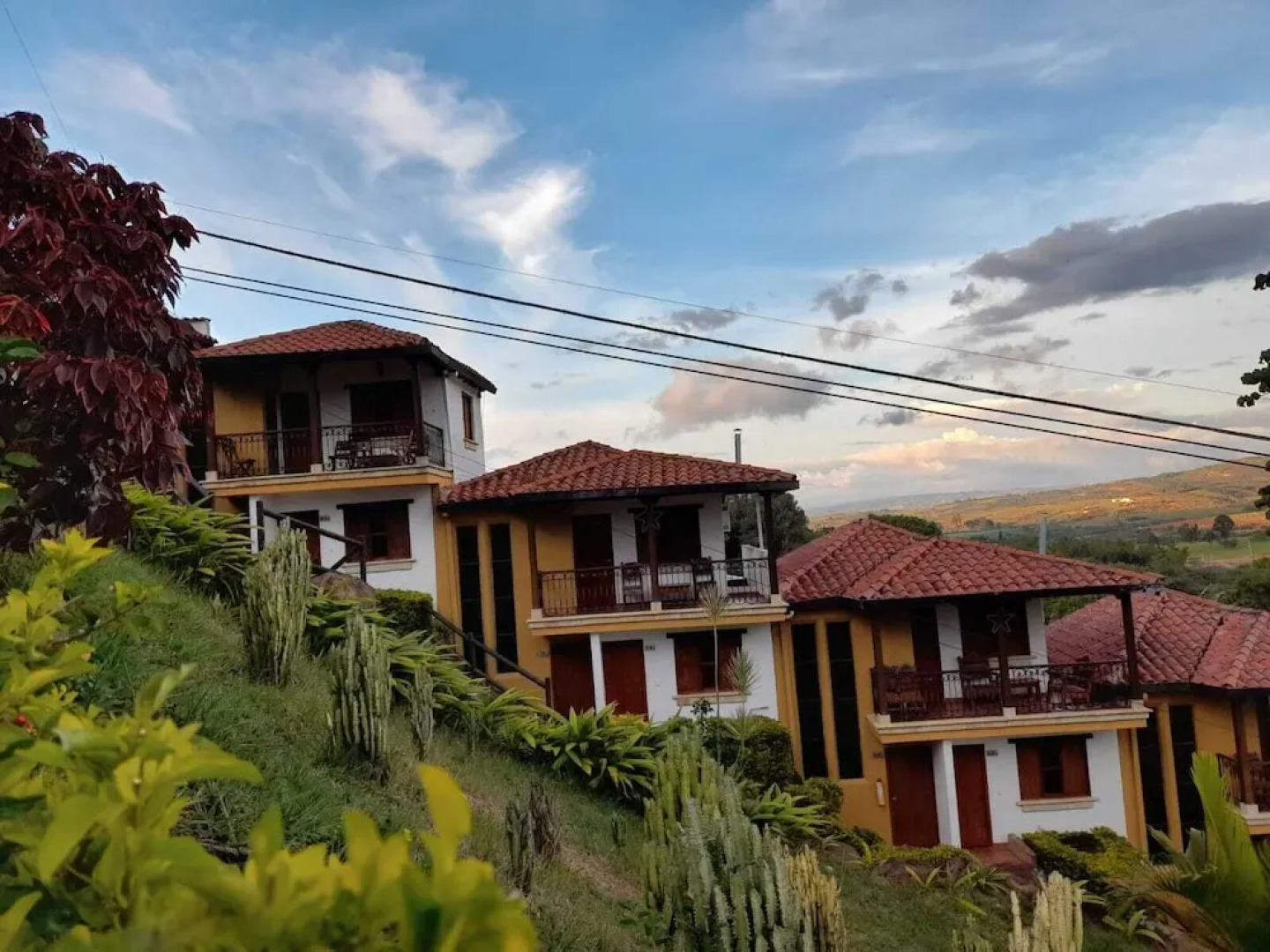 Hotel Las Rocas Resort