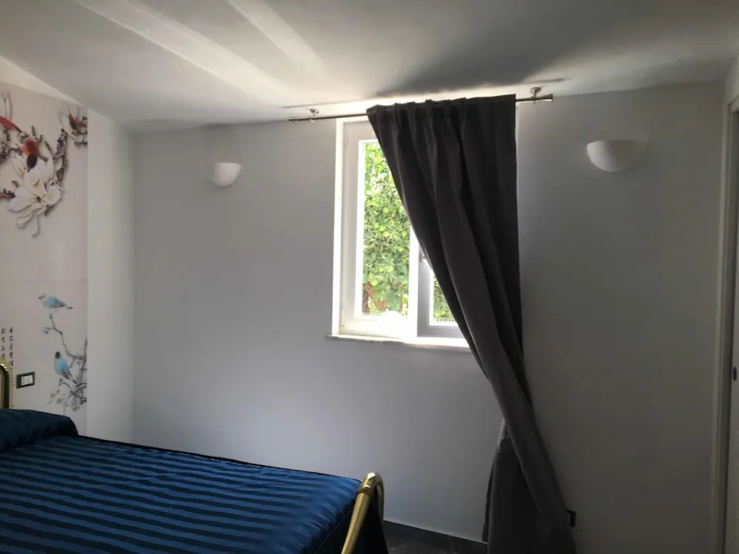 Antico Limoneto Conca D'Oro