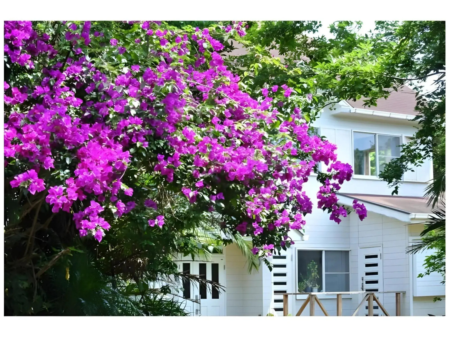 Pension Blue Marlin (Hachijojima)