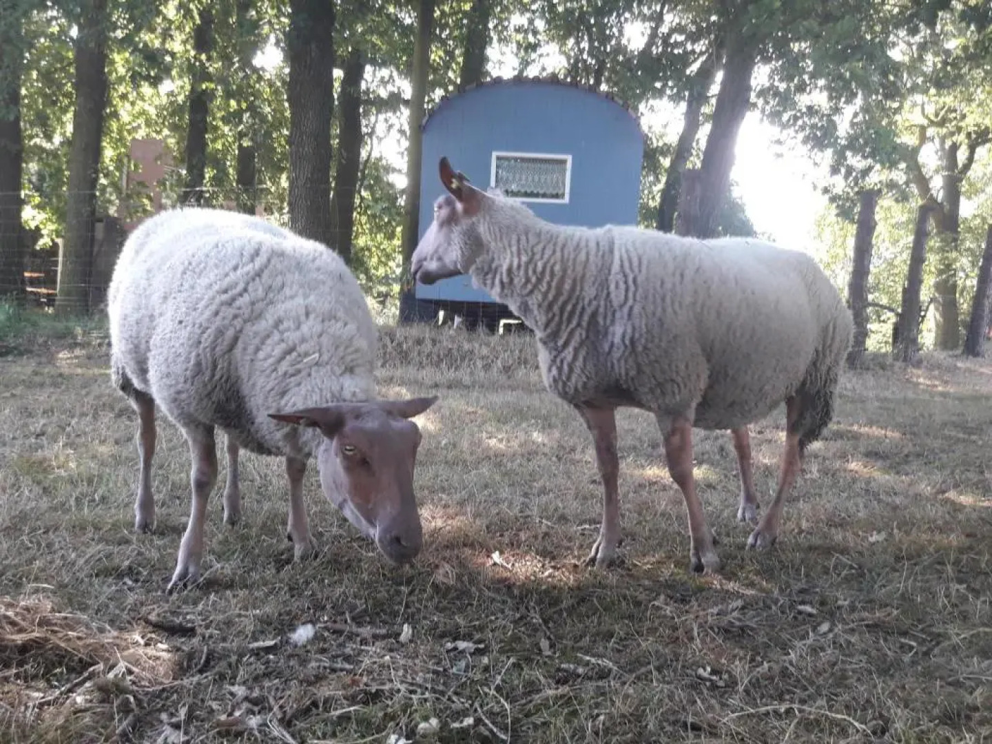 Ferienwohnung 1 Bauernhof von Eden