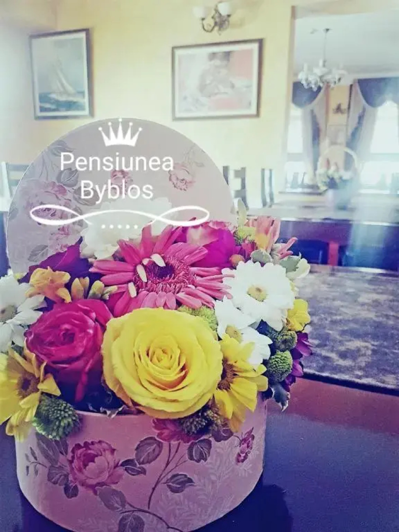 Byblos Pensiunea-dumbrava Rosie