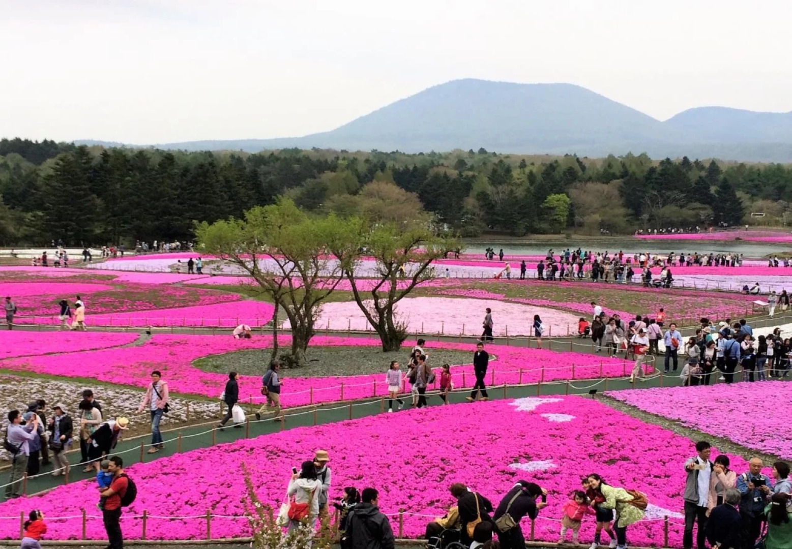 Hostel Mt. Fuji-FUKUYA