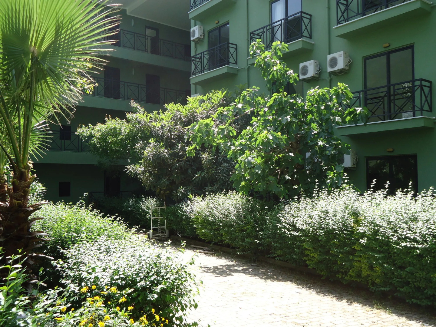 Blue Pine Hotel
