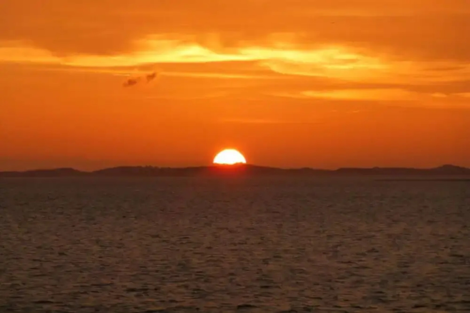 Holiday Home Gray Seal