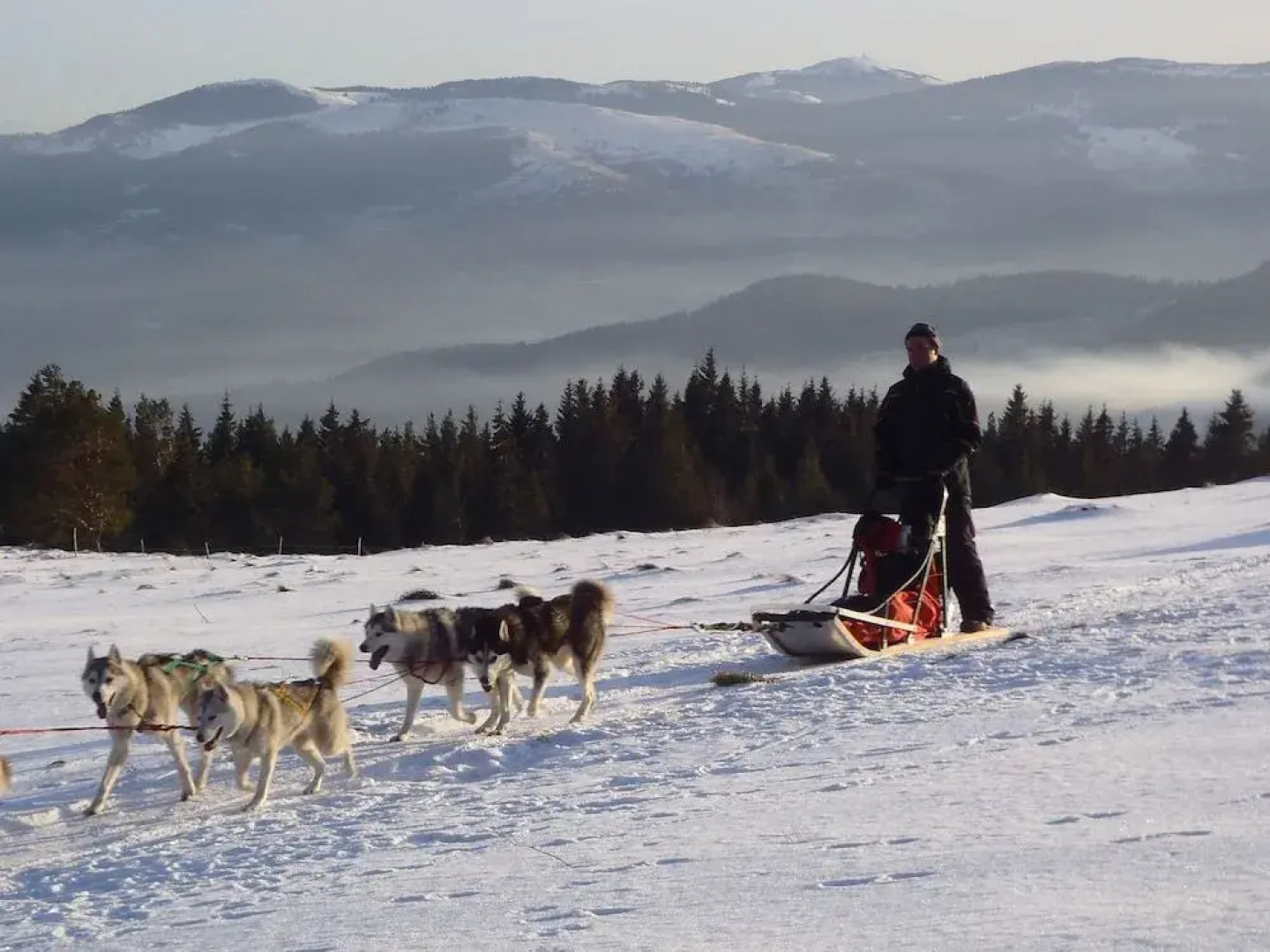 Chambres d'Hôtes La Petite Finlande
