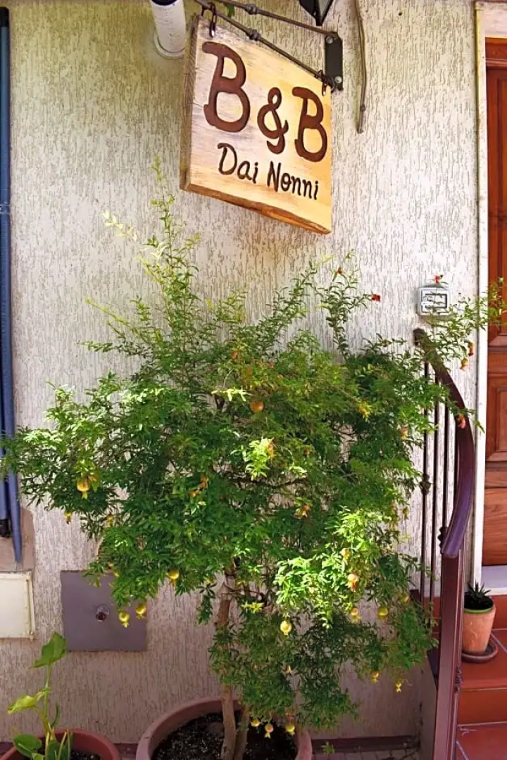 Dai Nonni B&B