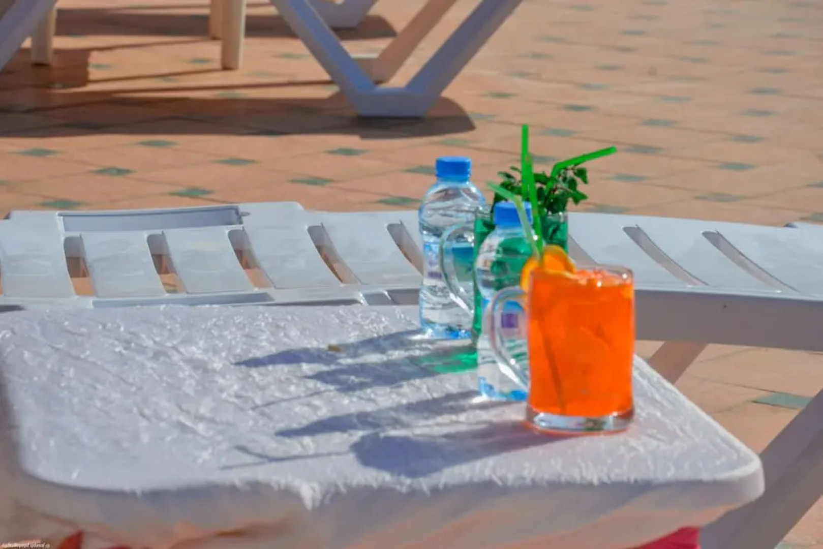 L'Oliveraie D'amizmiz