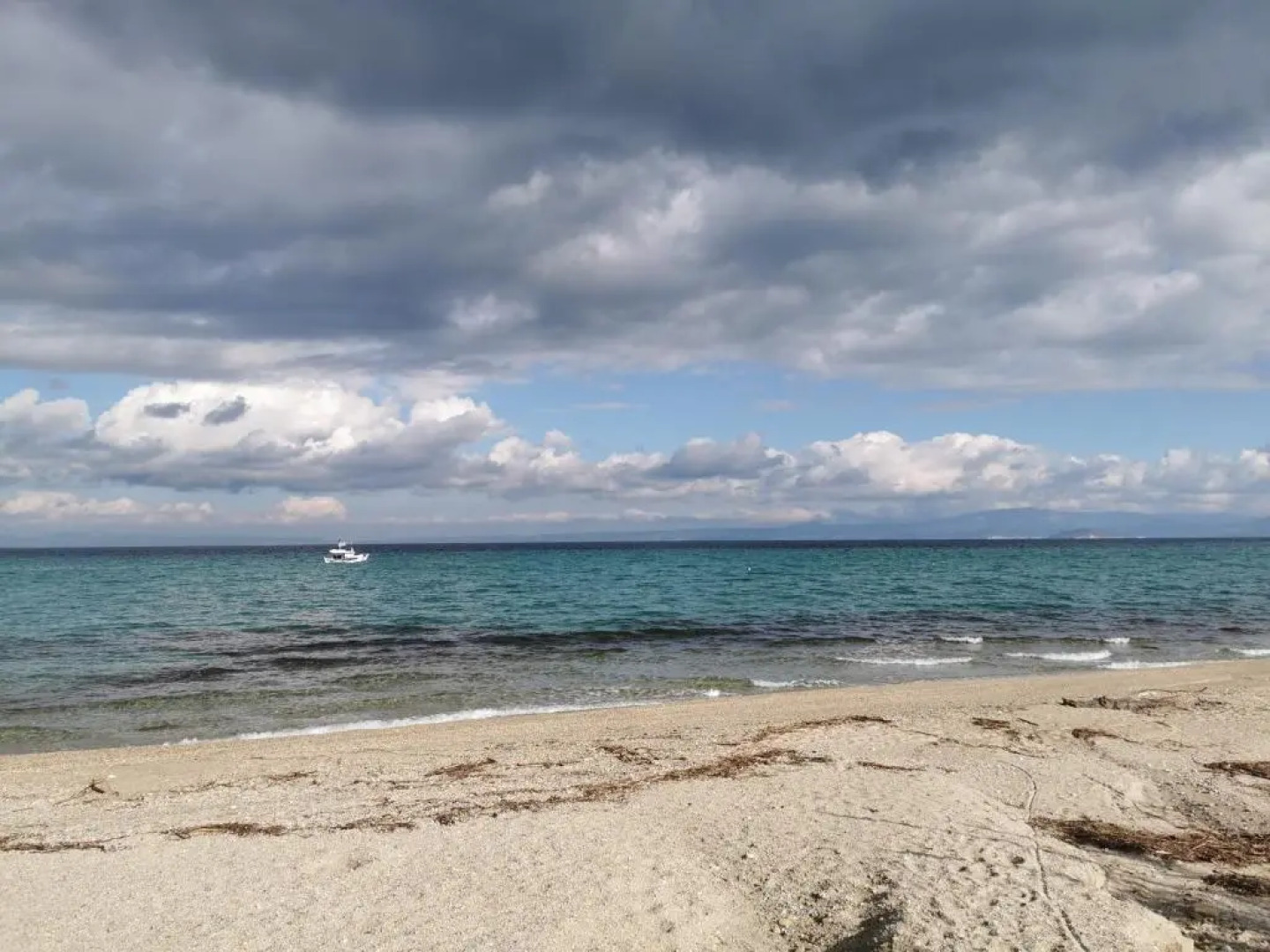 Orange_Blue_Aparment №1