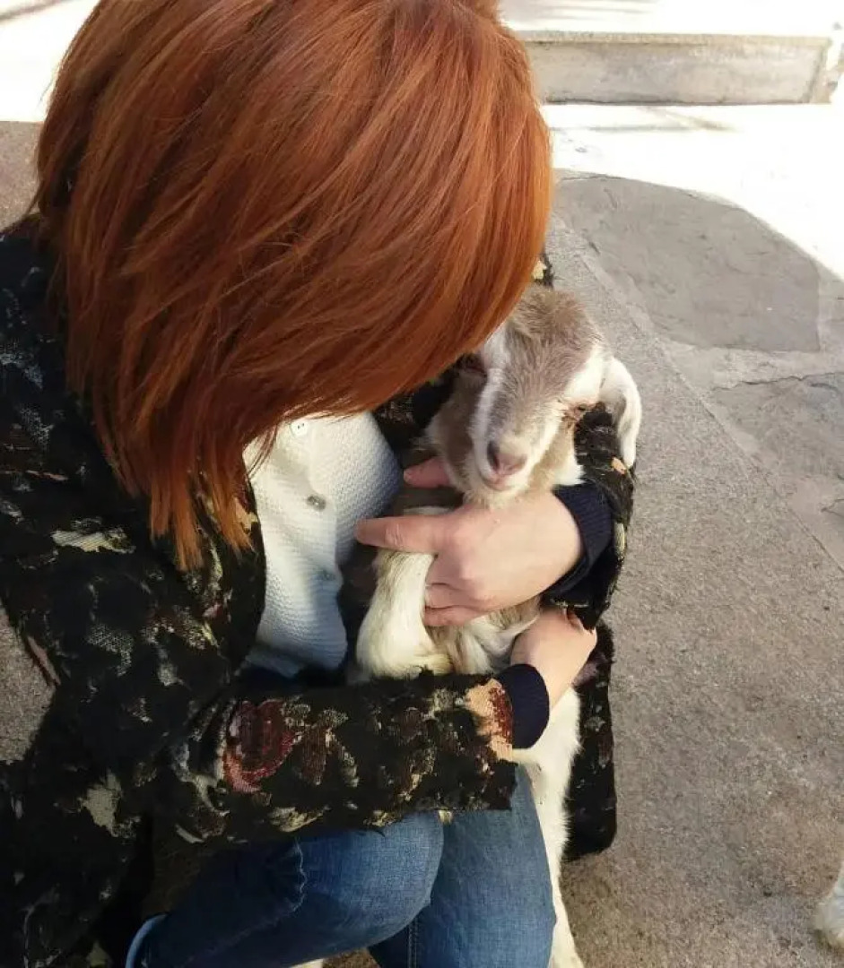 Alice nel Paese delle Meraviglie