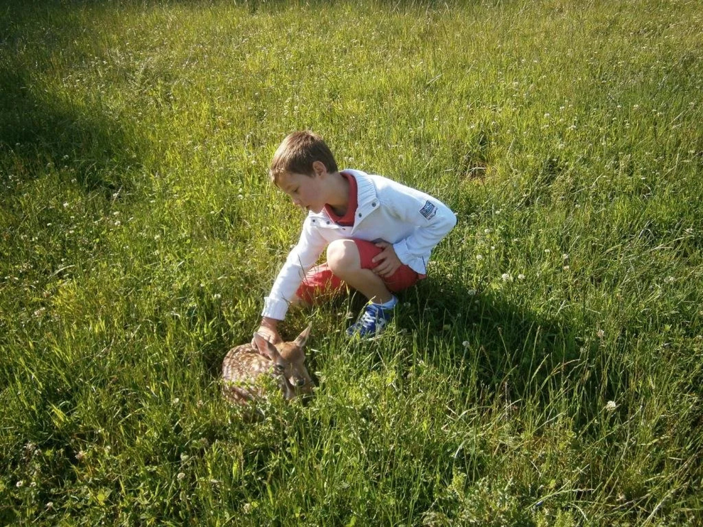 Le Chalet Pré de la Fontaine