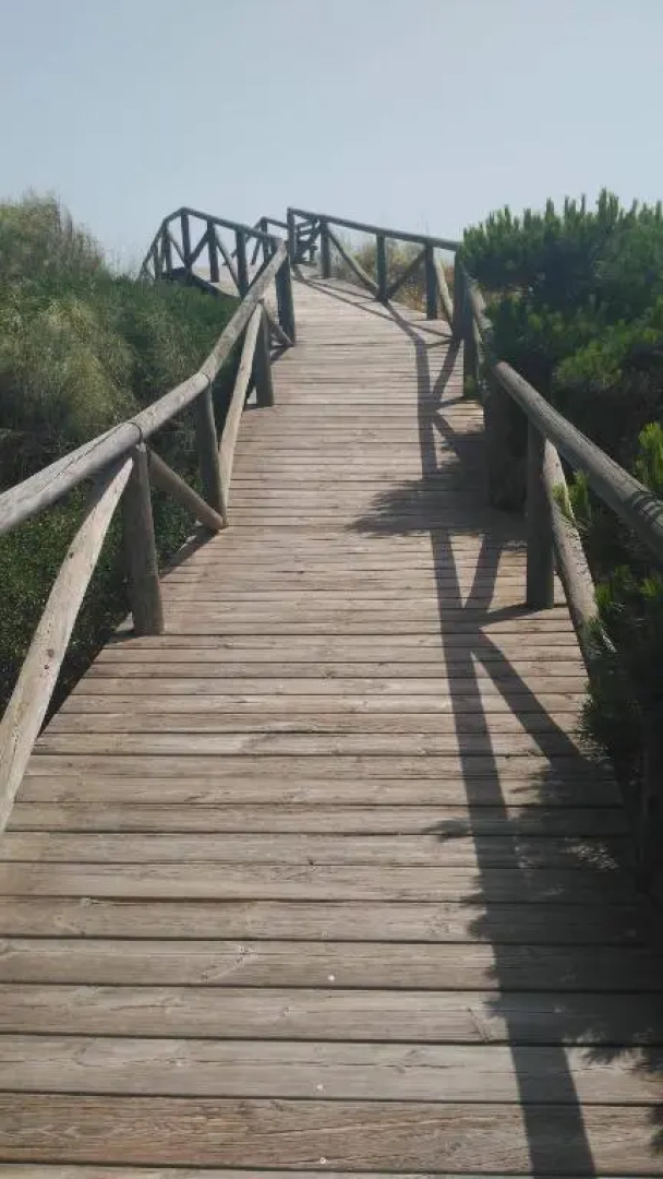 Bahia de la Luz