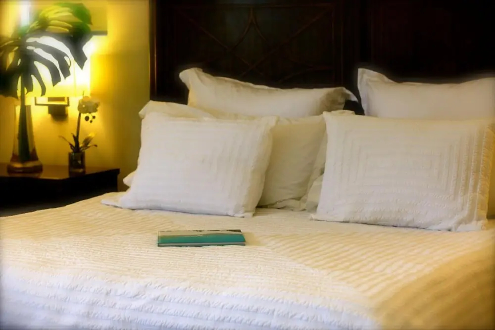Paseo Suites