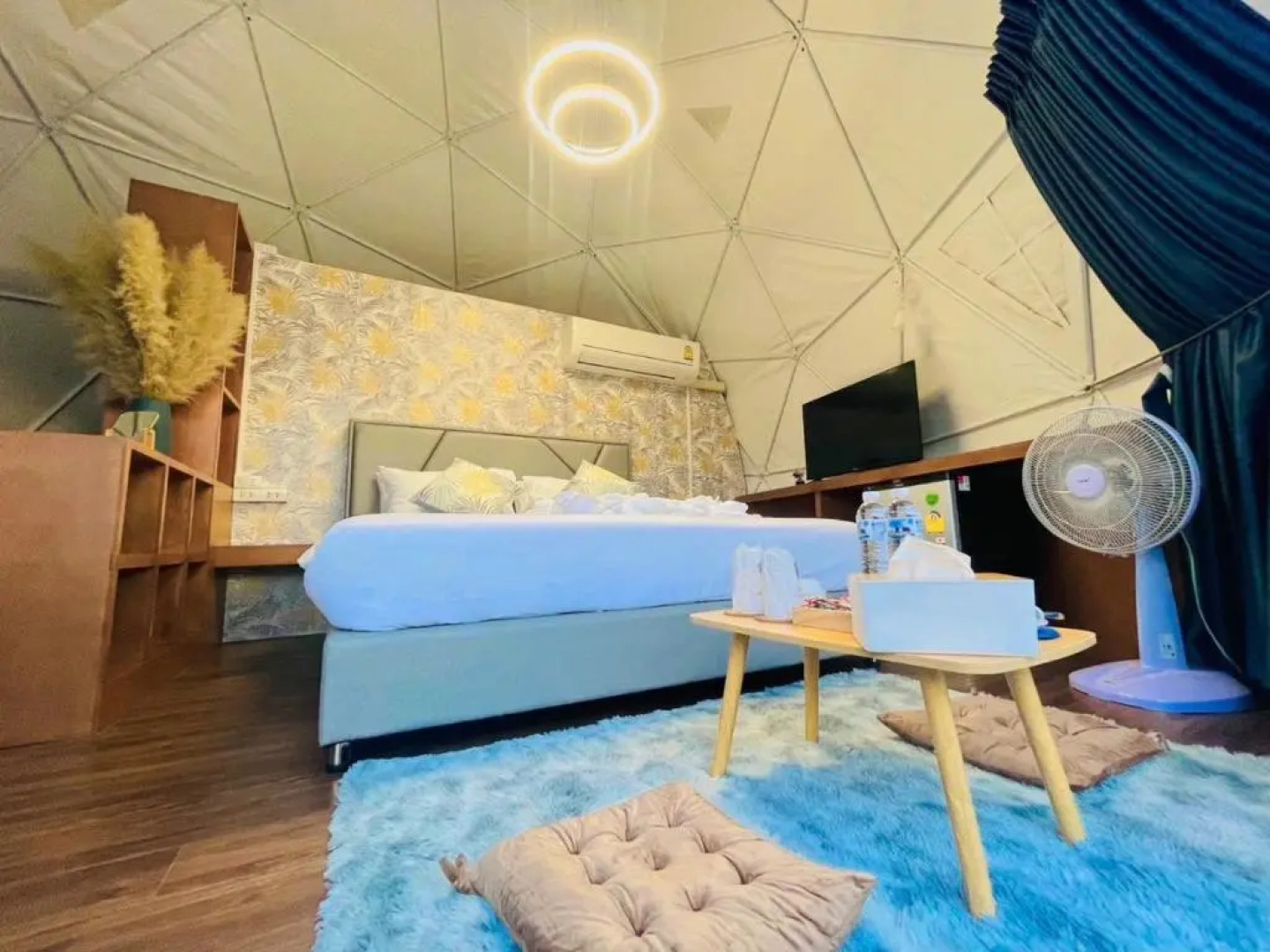 papa q suite resorts