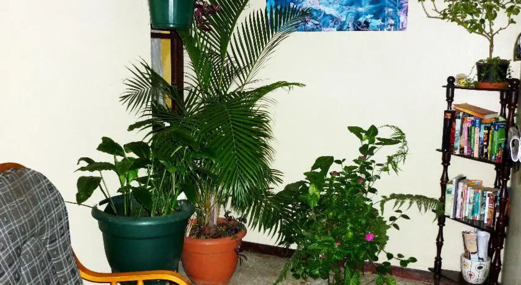Cala Inn B&B Airport