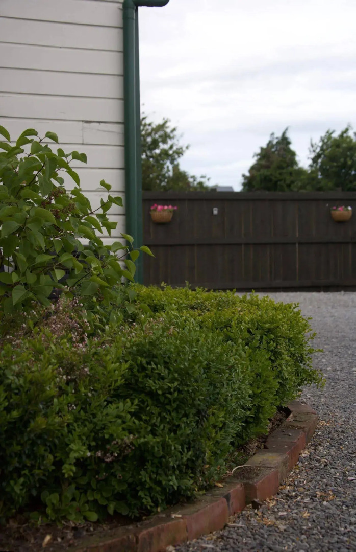 Pinedale Lodge & Apartment