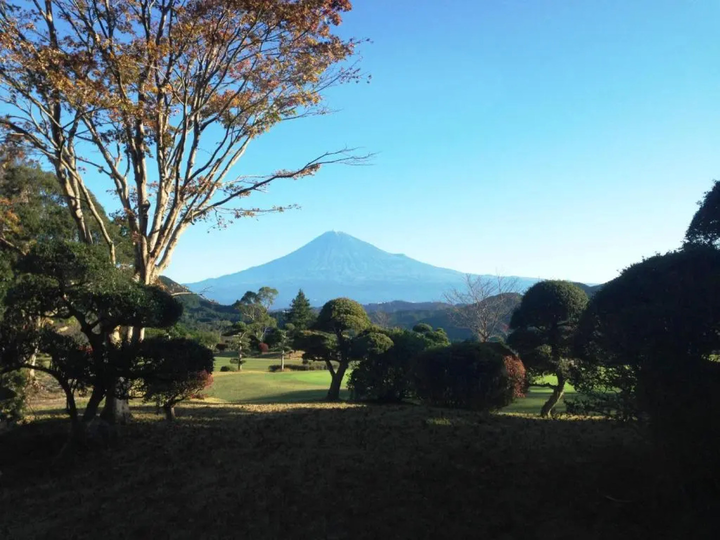 Guesthouse Curry Village