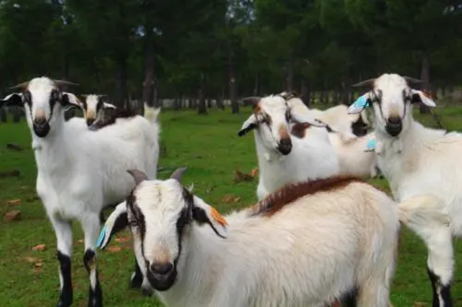 Sesmarias Turismo Rural & SPA